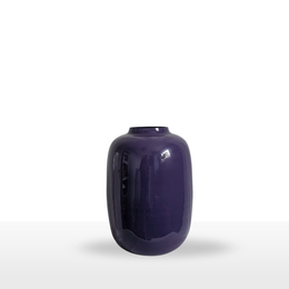 Vaas Artic s Paars