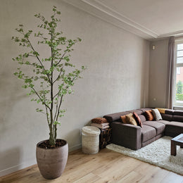 Tropaeolum Tree Green 270