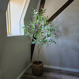 Eucalyptus Tree 150 cm