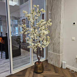 Bloesem boom (wit) 175 cm