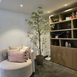 Tropaeolum Tree Green 210 cm