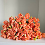 Tulpen Peach