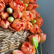 Tulpen Peach