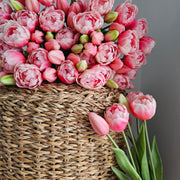 Tulpen Roze