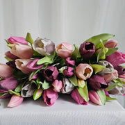 Tulpen Burgundy / mauve