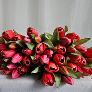 Tulpen bright roze