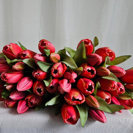 Tulpen bright roze