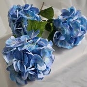 Hortensia (blauw)