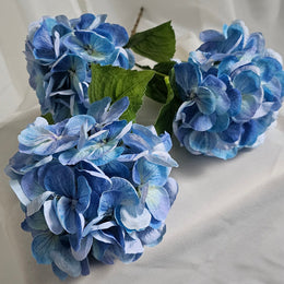 Hortensia (blauw)