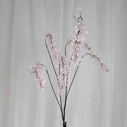 Wisteria roze