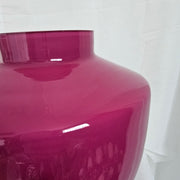 Vaas Tugela s Fuchsia