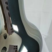 Vaas Seim glossy