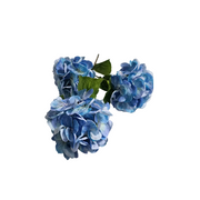Hortensia (blauw)