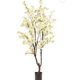 Cherry Blossom Tree White 210 cm