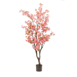Cherry Blossom Tree Pink 175 cm
