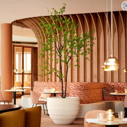 Tropaeolum Tree Green 300