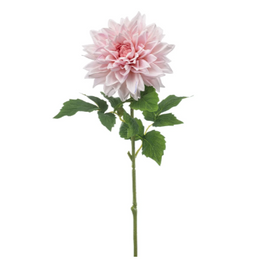 Dahlia roze (Real touch!)